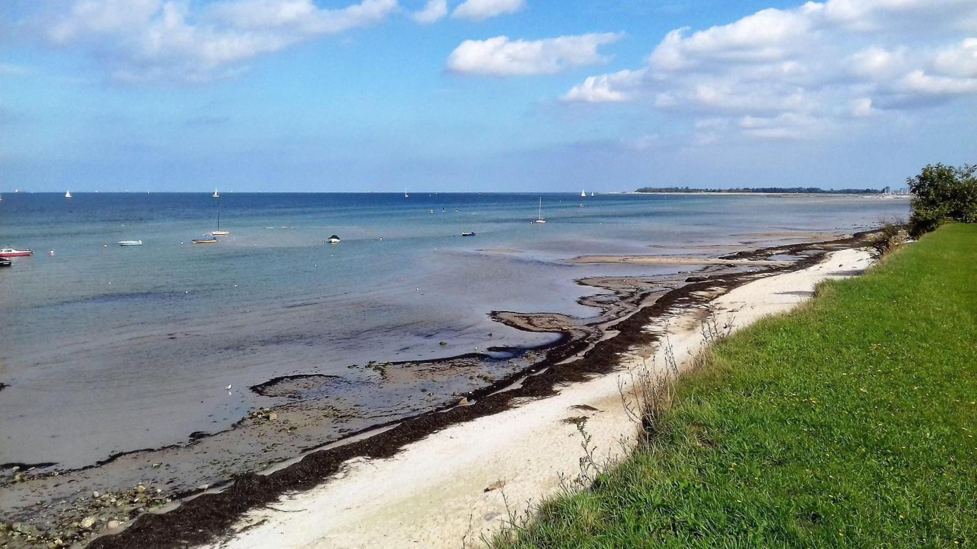 Ferienwohnung-Ostseestrand-In-Stein-Bei-Laboe Stein  Extérieur photo